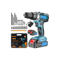 Furadeira De Impacto Profissional 21v Tipo Bx-252 2 Baterias