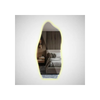 Espelho 170x70 Orgânico Led Grande Corpo Inteiro Luxo Adnet Decorativo Orgánico
