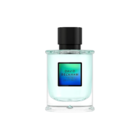 David Beckham Perfume True Instinct Eau de Parfum Masculino 75ml