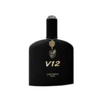 ZIRCONIA PRIVE, Perfume V12 Eau De Parfum Masculino 100ml