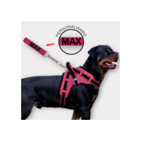 coleira e Guia para cachorro nome personalizado coleira peitoral conforto peiteira sistema amortecedor impacto regulagem