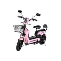 Bike Elétrica WeHawk WX-02 Basket 500W – Bateria 48V 12Ah Variação de Cores
