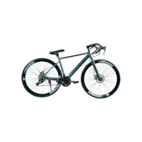 Bicicleta Speed Aro 700 Bike 30 Vel Marchas Phantom Freio a Disco Quadro Aço Carbono Leve Resistente Cor Cinza Cintilante - WCT FITNESS