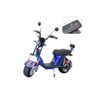 Scooter Elétrica 2 Lugares Wx-11 1000w Autonomia Até 45km - Inglaterra