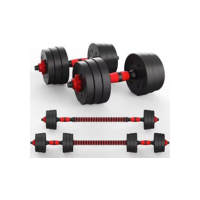 Kit 30kg Halteres de Anilhas E Barras Ajustáveis Fitness