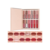 Batom Lip Liner Conjunto Batom liquido | Conjunto de Lápis para Lábios Matte 12 Cores