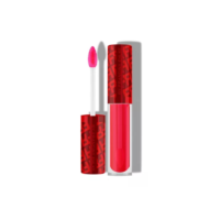 Fran By Franciny gloss labial aumento de volume lipchilli vermelho 4,5ml ehlke acabamento brilhante