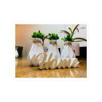 Kit 3 Vasinhos Decorativos com Letreiro Home e Plantas Artificiais Enfeite Sala e Banheiro