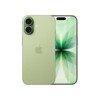Apple iPhone 17 (512 GB) - Sálvia
