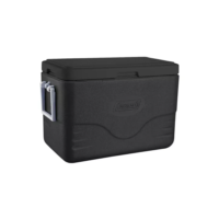 Caixa Térmica 101387281968 26,5 L Personal All Black Coleman