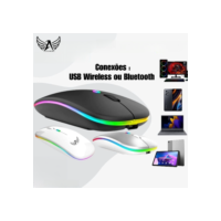 Mouse Sem Fio Recarregável Led RGB Clique Silencioso Bateria Interna 2.4g Gamer Home Office