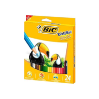 Lápis de Cor Sextavado BIC Evolution, 24 Cores, 902638, Blister 1 Unidade, Seguro Para Crianças, Não Lasca
