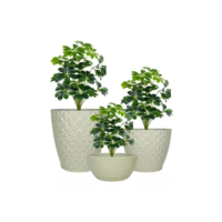 Kit 3 Vaso De Planta Decoração Coluna Bojo Bacia Prato Mesa