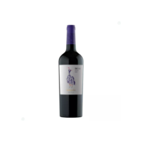 Vinho Argentino Tinto Seco Chac Chac Malbec Mendoza Garrafa 750ml
