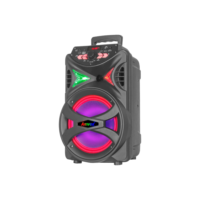 Caixa de Som Amplificada Preta Bivolt Bluetooth ACA 255 Hit 250W - Amvox