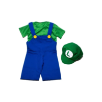 Fantasia Infantil Super Mario Bros  Luigi  Envio Imediato