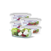 Conjunto 5 Pote Vidro Hermético Marmita Tampa Plástico 640ml