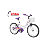 Bicicleta Caloi Ceci Aro 20 Freios V-brake Infantil A25 Cor Branco Tamanho Do Quadro 20
