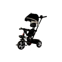 Triciclo Infantil De Empurrar Zupa Passeio Multifuncional