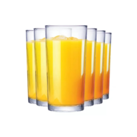 Jogo de Copos de Vidro Long Drink para Água e Suco 255ml 6pcs Ruvolo