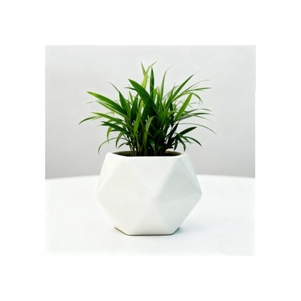 Vaso de cerâmica médio de 9 x 6,6 cm, para suculentas, para jardim fofo, jardim, flor, berçário, suculenta, para plantas de interior, vasos de cerâmica, diamante, 4