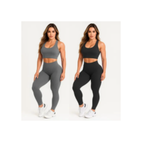 Kit 2 Conjuntos Calça Legging E Top Roupas Para Academia