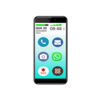 CELULAR VOVÔ&VOVÓFONE 16GB 4G TELA GRANDE 5.5 REDES SOCIAIS