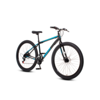 Bicicleta aro 29 Aço Carbono Gott Cronos Freio A Disco 21V