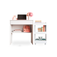 Conjunto Mesinha de Computador Gaveta e Armário para Livros com Rodinha