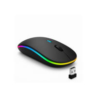 Mouse Sem Fio Recarregável Wireless Bluetooth Optico Led Rgb Colorido Ergonômico Usb 2.4 Ghz Notebook Computador Pc Desktop Linha Premium - Cores Sortidas