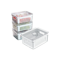 House Organizer Kit 4 Organizadores Geladeira Armário Cozinha 2,2 Litros Alimentos Vegetais