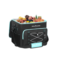 INSMEER Bolsa Térmica Grande À Prova De Vazamentos 90 Latas/55 Litros Refrigerador Isolado Lateral Macio Com Alça De Ombro (Preto)