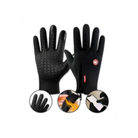 Luva Moto Motoqueiro Impermeável Térmica Inverno Frio Touch Preto Único - M Ao Gg