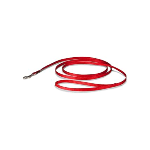 PetSafe Coleira de nylon para cães – forte, durável, coleira de estilo tradicional com fecho de parafuso fácil de usar para cães pequenos, médios e grandes – 9,5 cm x 1,8 m, vermelha
