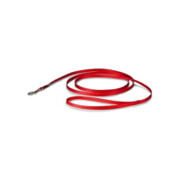 PetSafe Coleira de nylon para cães – forte, durável, coleira de estilo tradicional com fecho de parafuso fácil de usar para cães pequenos, médios e grandes – 9,5 cm x 1,8 m, vermelha