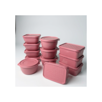 Kit 12 Potes Plasticos para Guardar Alimentos