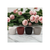 Kit com Mini Vasos Cachepôs Moranga para Plantas Suculentas Decorativos de Plástico Injetado 5x6