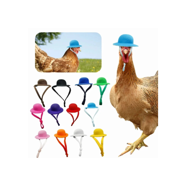 Chapéu De Frango Para Homens, Pequenos Animais De Estimação, Acessórios Engraçados De Frango, Top De Galinha, Galo, Pato, Papagaio, Hamster, Aves, Show Elegante Costum