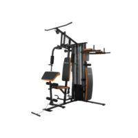 Estação de Musculação 65kg Gallant Elite (GEM65H44A-PT)