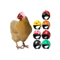 Capacete De Frango Para Animais De Estimação ADAMES , Mini Chapéus De Proteção Contra Chuva E Sol , Chapéu Duro Pequeno 