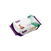 Kit 1000 Toalhas Umedecidas Baby Free