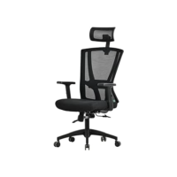Cadeira Ergonômica ErgoMesh, Giratória, para Escritório e Home Office, com Encosto Reclinável com trava, Apoio de Cabeça, Apoio Lombar, Preto