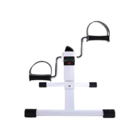 Mini bicicleta, WCT Fitness