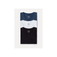 Kit Camisetas Hering Básicas Slim Gola V Masculina 3 Peças - Colorido