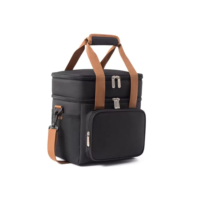 Bolsa Térmica Grande 2 Compartimentos Alça Ajustável Lancheira Marmita Espaçosa Unissex Lanches Trabalho Passeio Escola Academia Fitness 0054 (Preto)