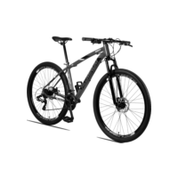 Bicicleta 29 Aluminum Raider 24 Marchas Index Freio a Disco