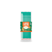 LAPIS GRAFITE HB RESINA VERDE SEXTAVADO S/BORR.POTE/72 UND LEOELEO