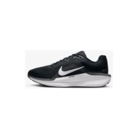 Tênis Nike Winflo 11 Feminino