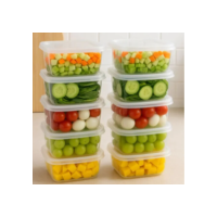 Kit 20 Marmita Potes 300ml Bpa Free Freezer Microondas