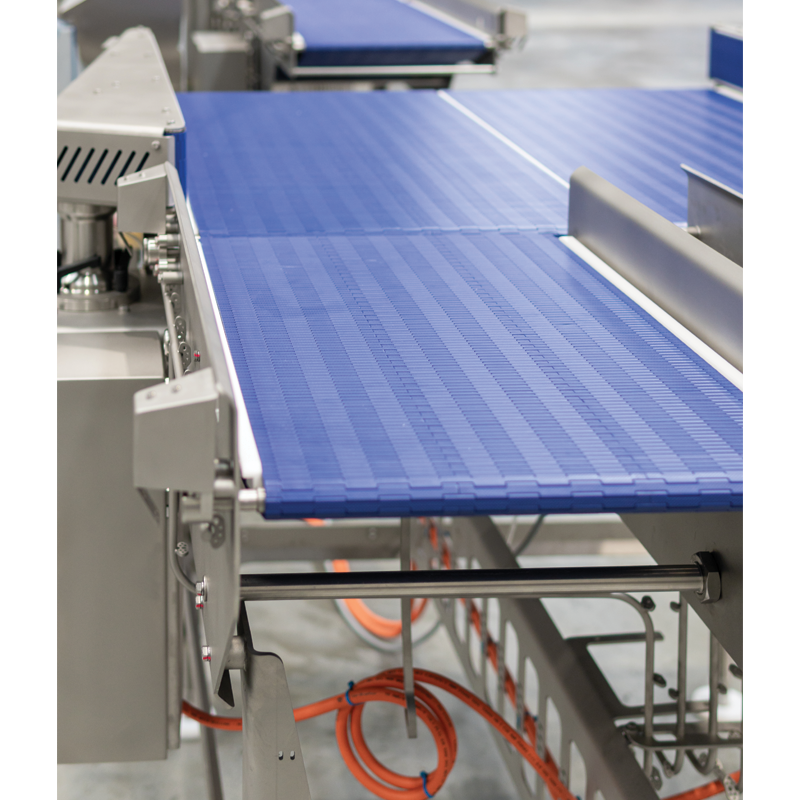 Moda Merge High-Speed Meat Packaging Merge Conveyor